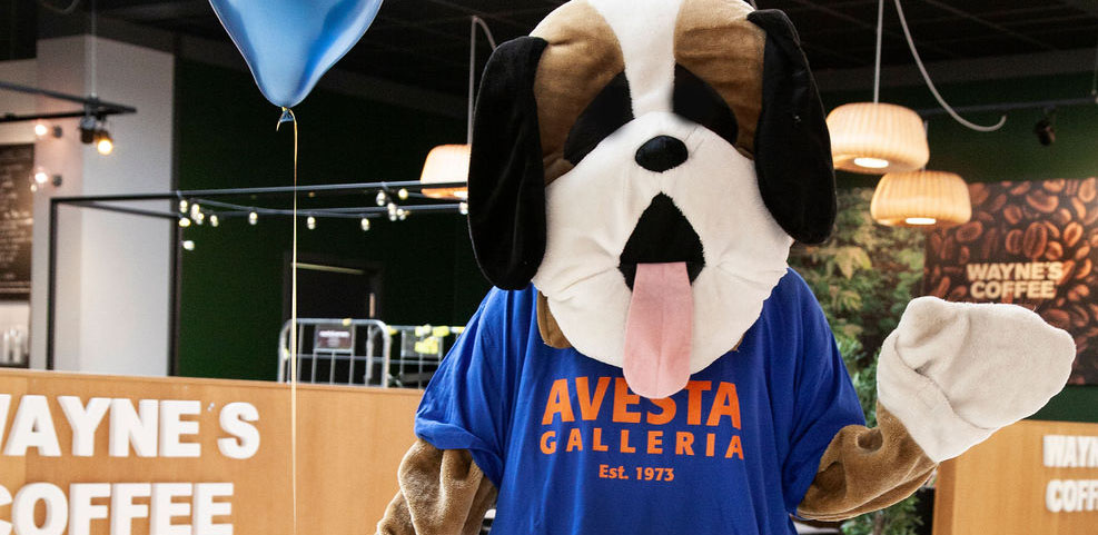 Avesta Galleria event maskot